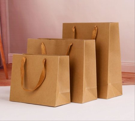 G17-2 كيس كرتون 19.5*8.5*14.5